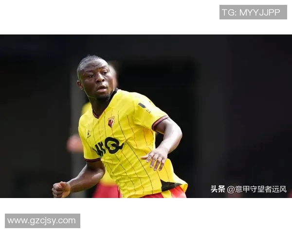 切尔西与沃特福德对决前瞻分析及比赛结果预测